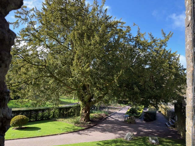 Affirmations of the Resurrection Day