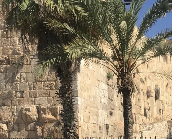 Do You Know This About Palm Sunday?