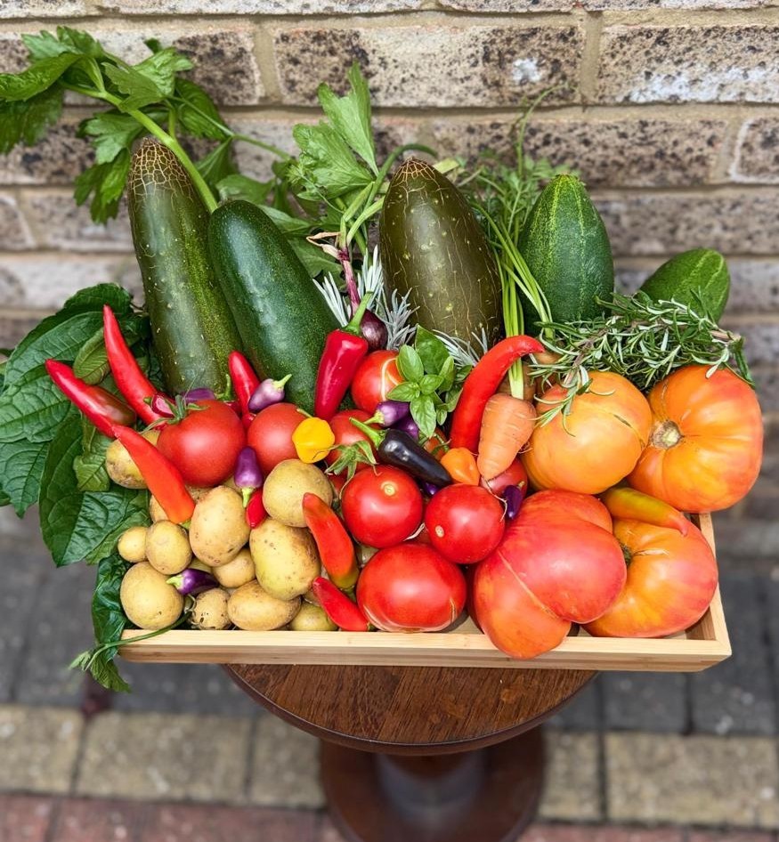 Harvest time