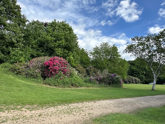 Have you tried all the options?