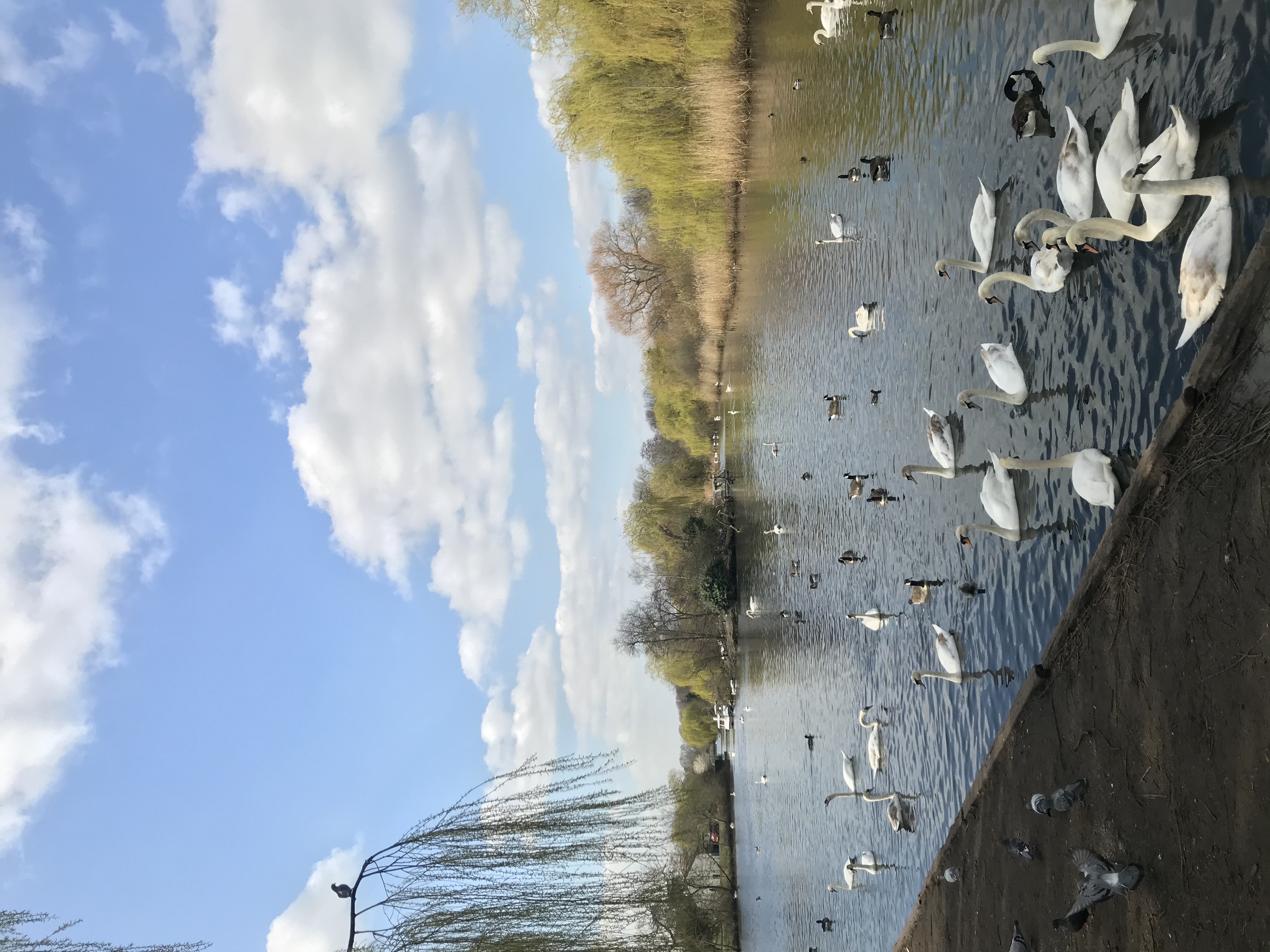 No rank business! I Need My Miracle