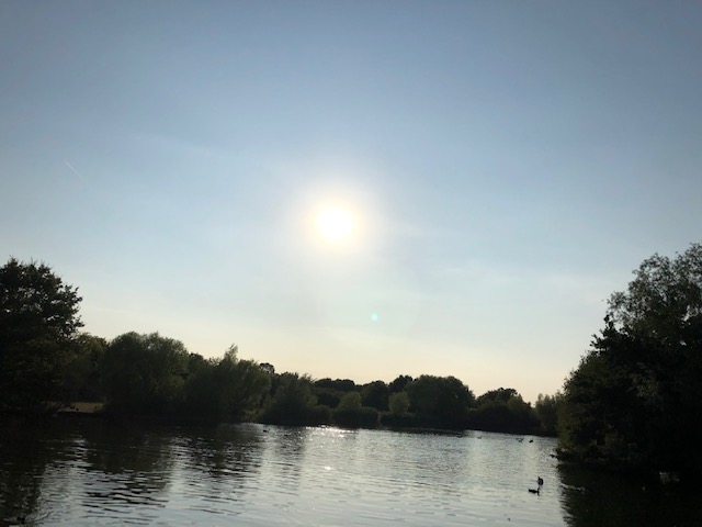 Resting in the Storm