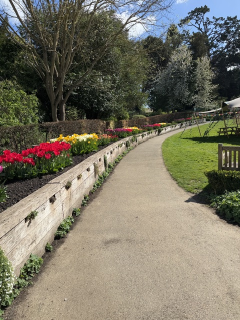 That I May Hear Him