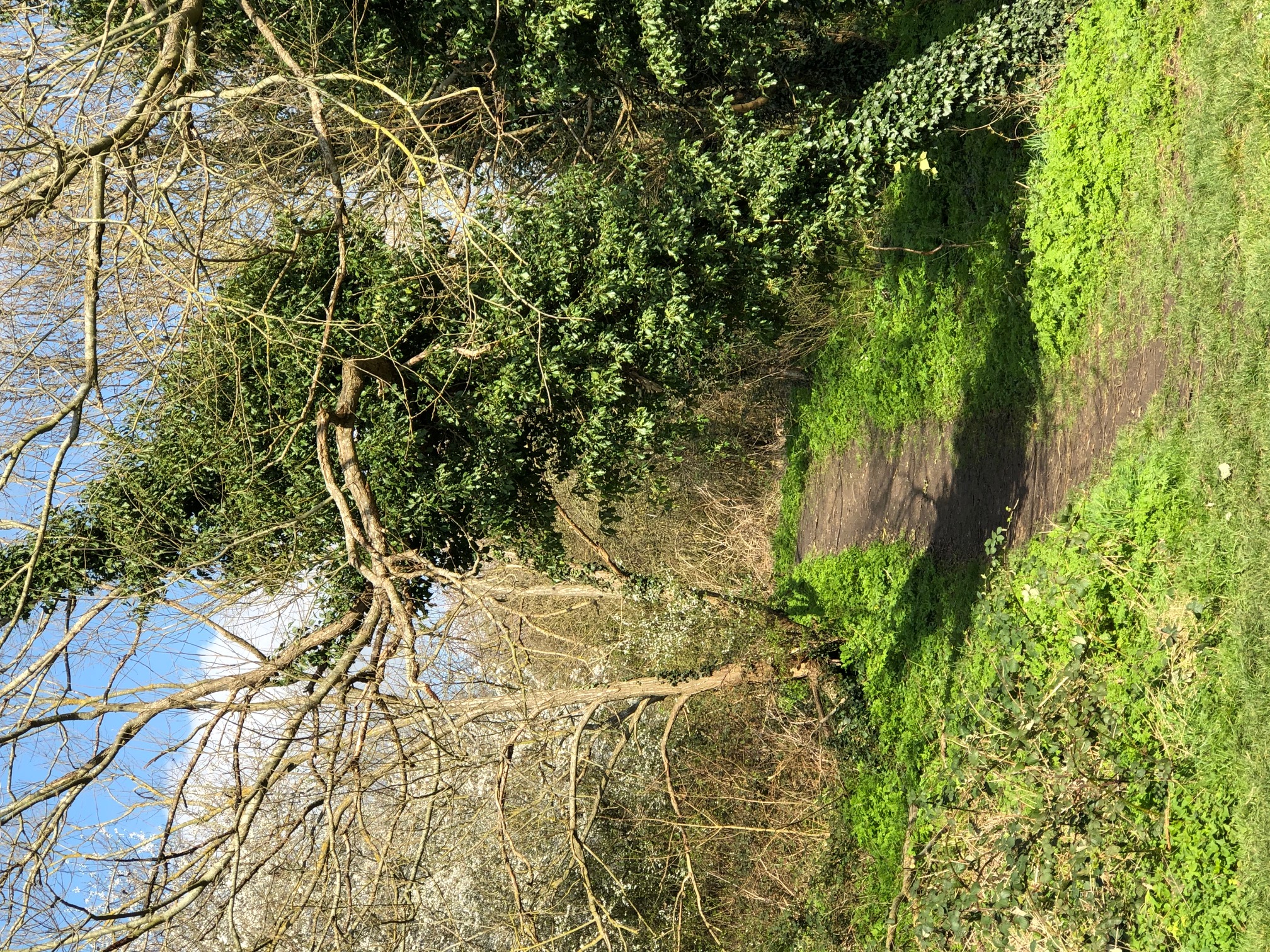 The Joys and Pains of The Road Less Travelled