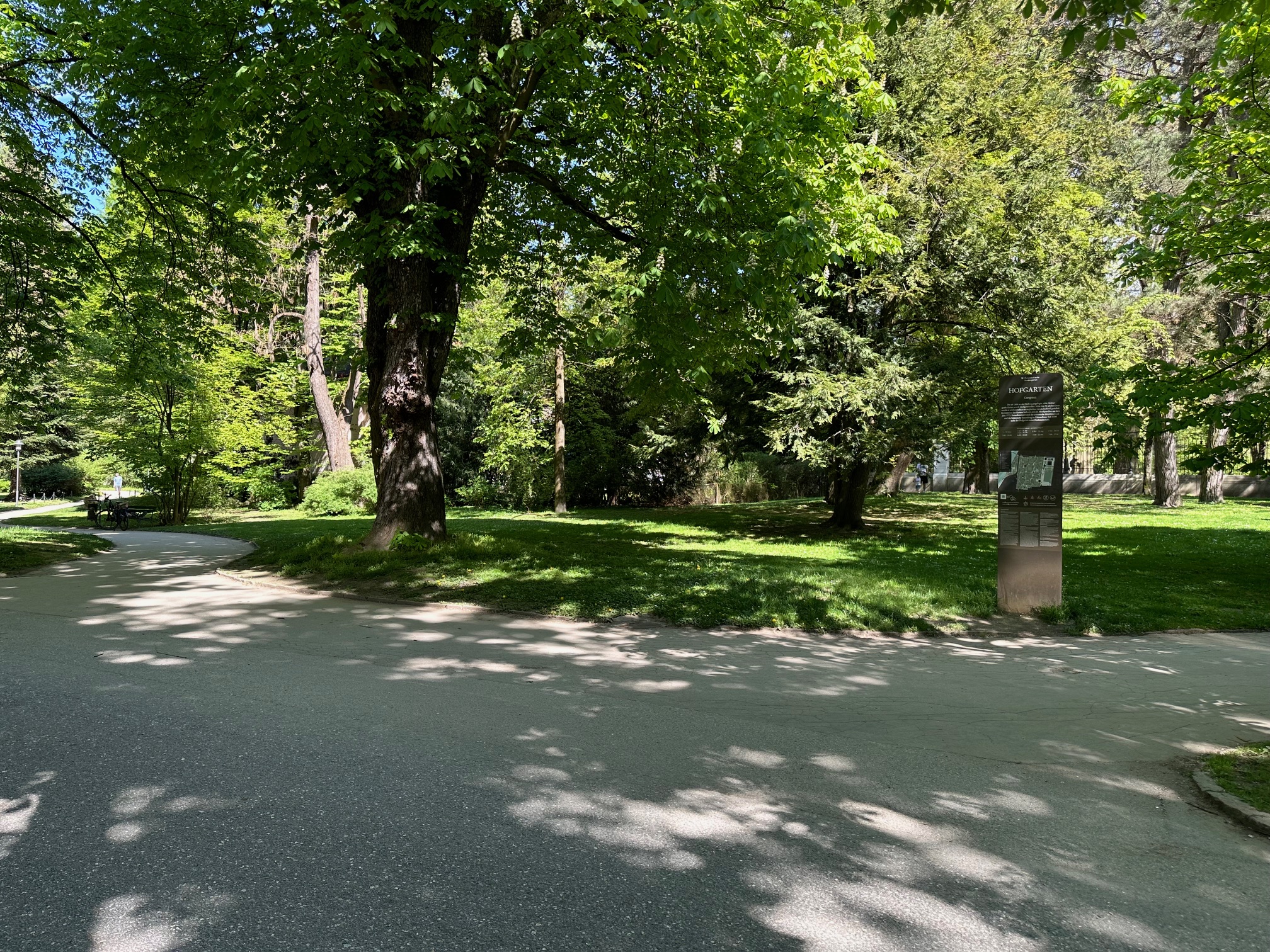 The King's sleep went