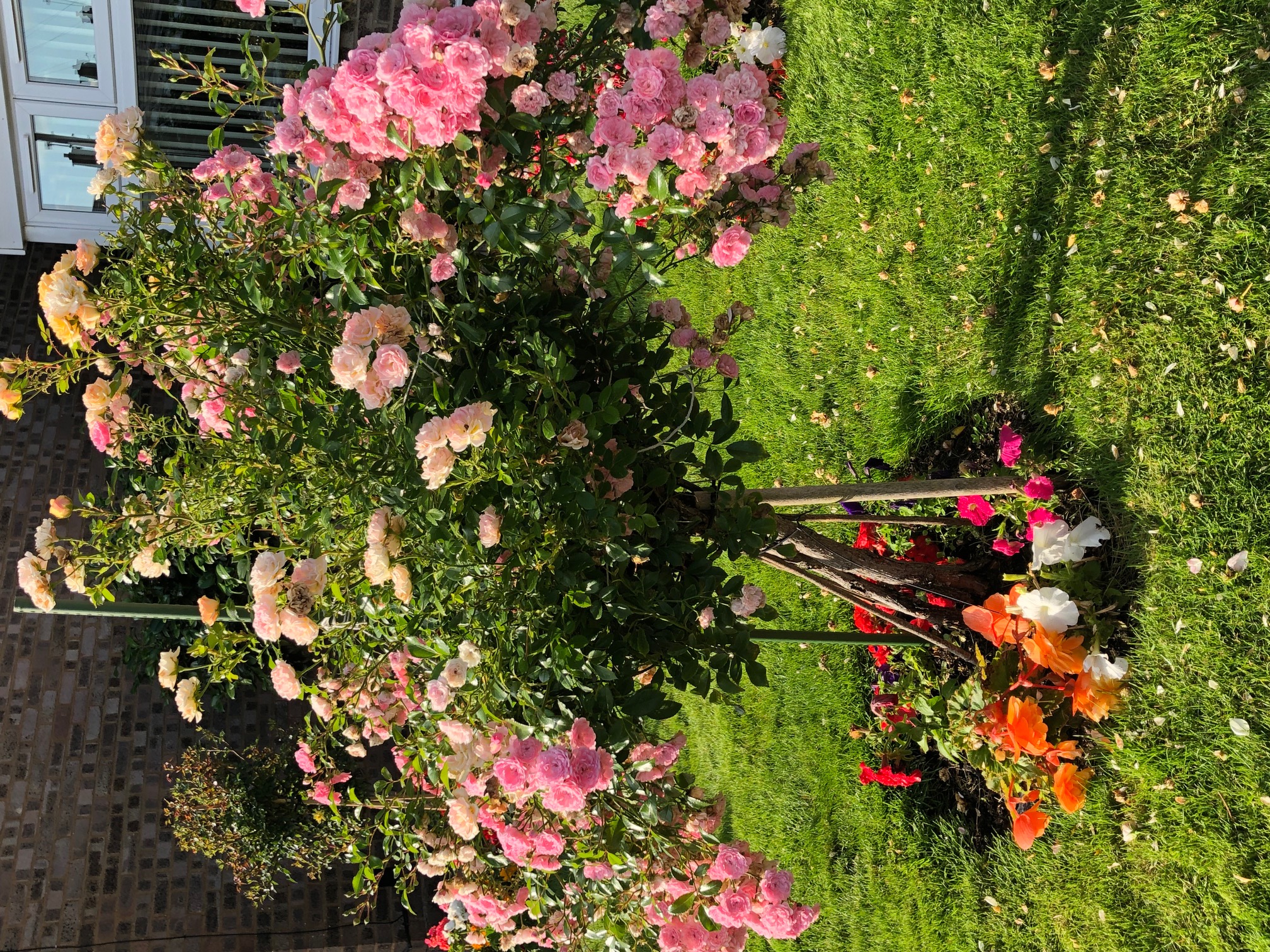 The Lasting Effect of Conviction