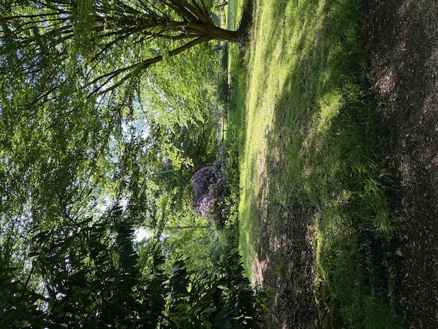 KPỌKUE JEHOVA O GA AZA GI